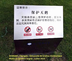 Chengdu- Universite Science electronique 041